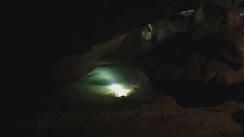 ������ ���������� ������ ��������� ������������ ��� �������