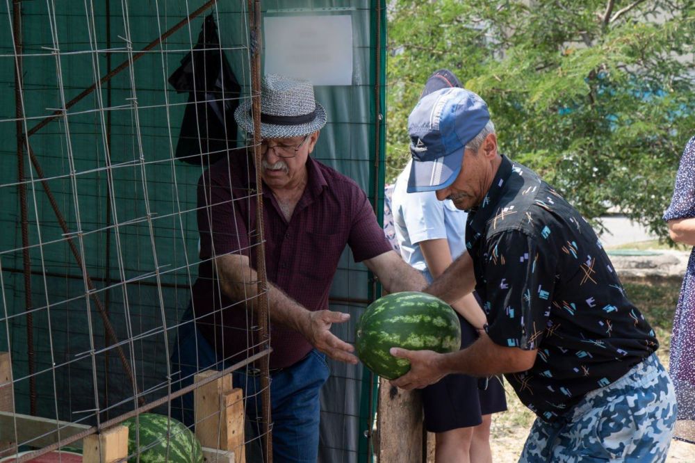 В Симферополе «арестовали» две тонны дынь и арбузов В Симферополе «арестовали» две тонны дынь и арбузов