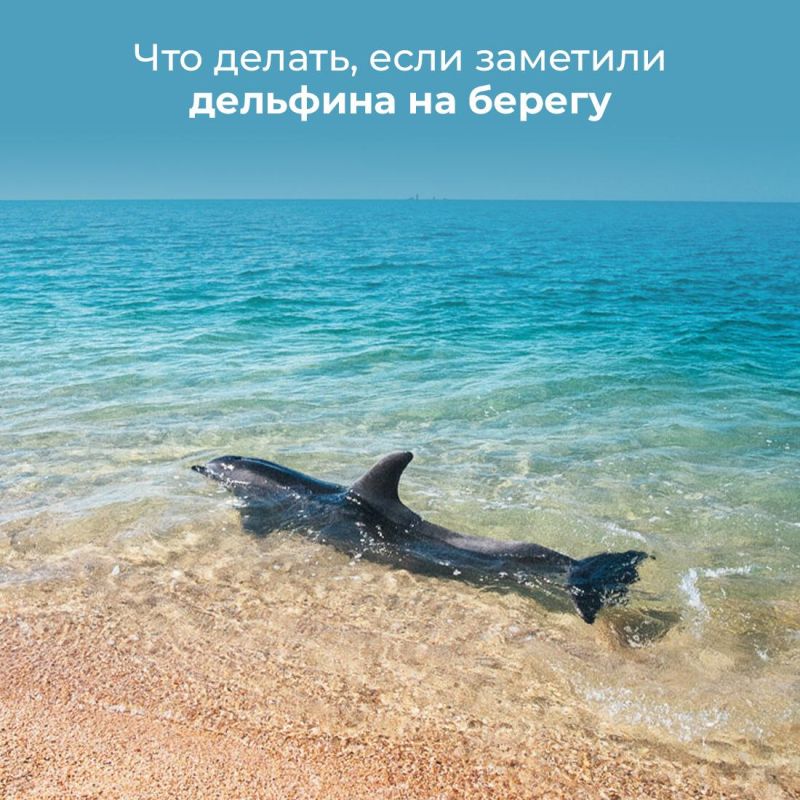 ������ ������ ������� ��������� �� ������ � ��� ���� ����� � ����� �������?