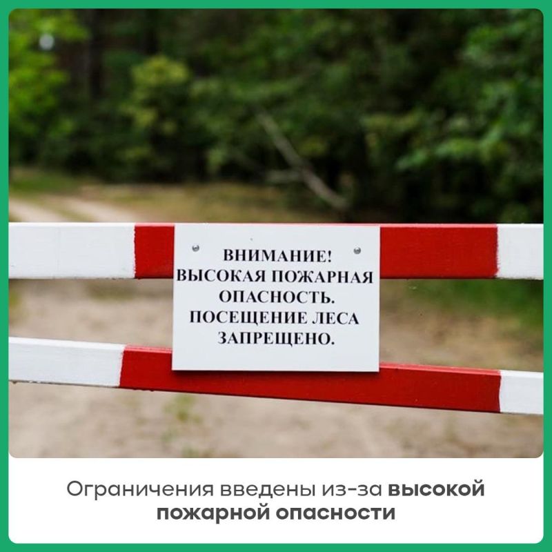 Василий Грабован: В Крыму в связи с высокой пожарной опасностью закрыты для посещения эколого-просветительские маршруты Василий Грабован: В Крыму в связи с высокой пожарной опасностью закрыты для посещения эколого-просветительские маршруты