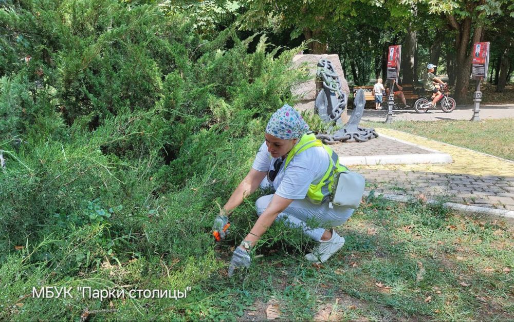 Парк Гагарина требует регулярного ухода и бережного отношения к зеленым насаждениям Парк Гагарина требует регулярного ухода и бережного отношения к зеленым насаждениям
