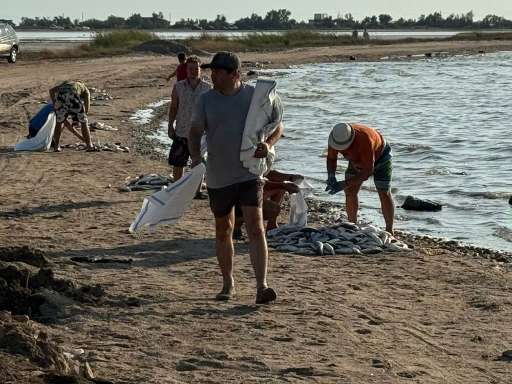 Александр Дудинов: Сегодня утром в Оленевке на берег лимана выбросило мертвую рыбу Александр Дудинов: Сегодня утром в Оленевке на берег лимана выбросило мертвую рыбу