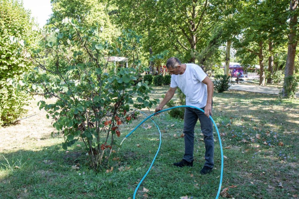 Клумбы парков и скверов Симферополя продолжают радовать посетителей цветением Клумбы парков и скверов Симферополя продолжают радовать посетителей цветением