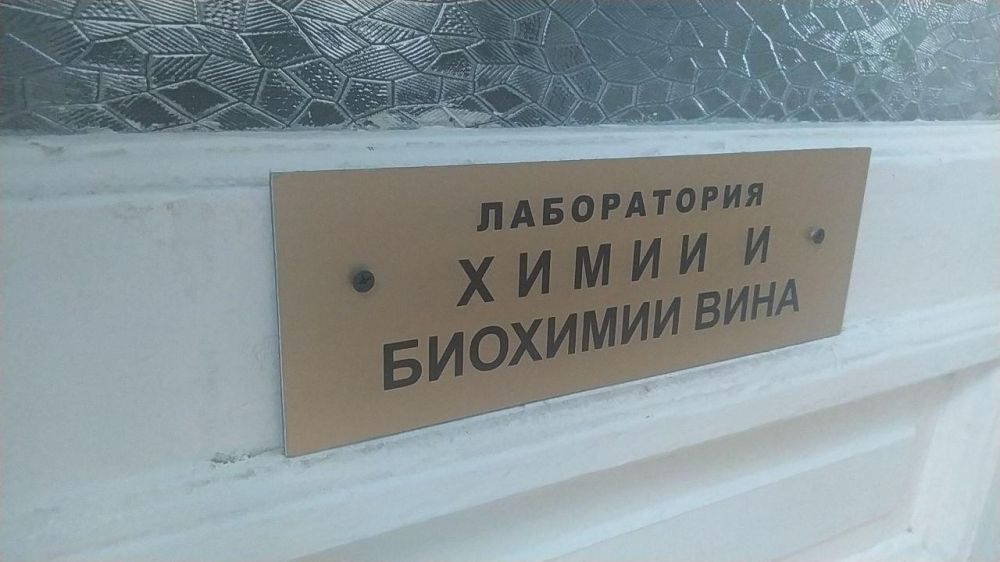 ТЕКСТ: В Крыму активно развивается виноградное питомниководство ТЕКСТ: В Крыму активно развивается виноградное питомниководство