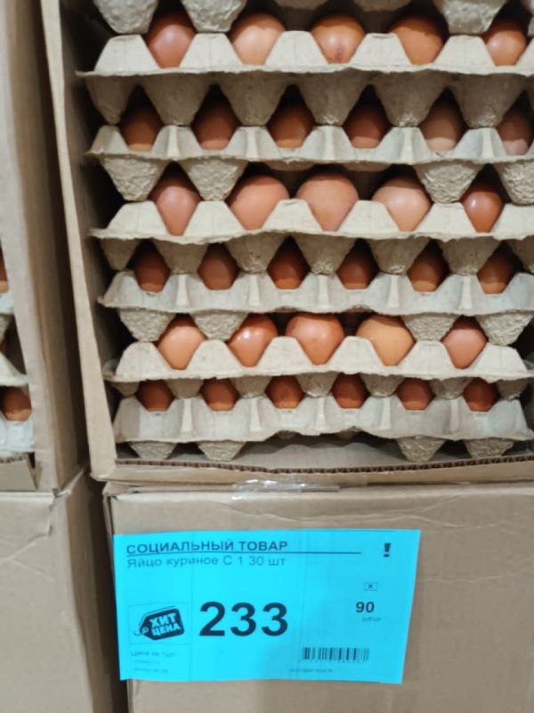 25  2024            ...