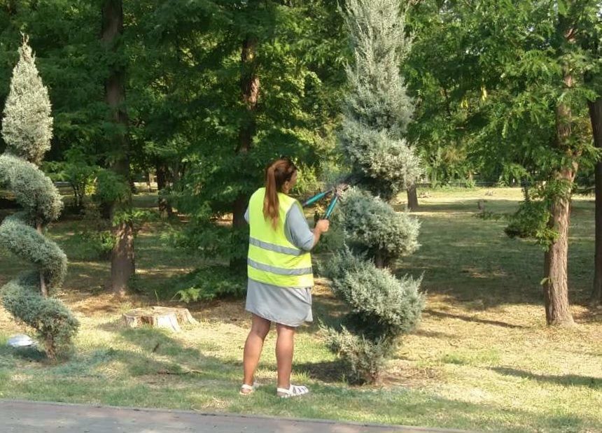 Сотрудники учреждения «Парки столицы» в постоянном режиме выполняют работы по уходу и содержанию порядка 70-ти гектаров парковых зон Симферополя Сотрудники учреждения «Парки столицы» в постоянном режиме выполняют работы по уходу и содержанию порядка 70-ти гектаров парковых зон Симферополя