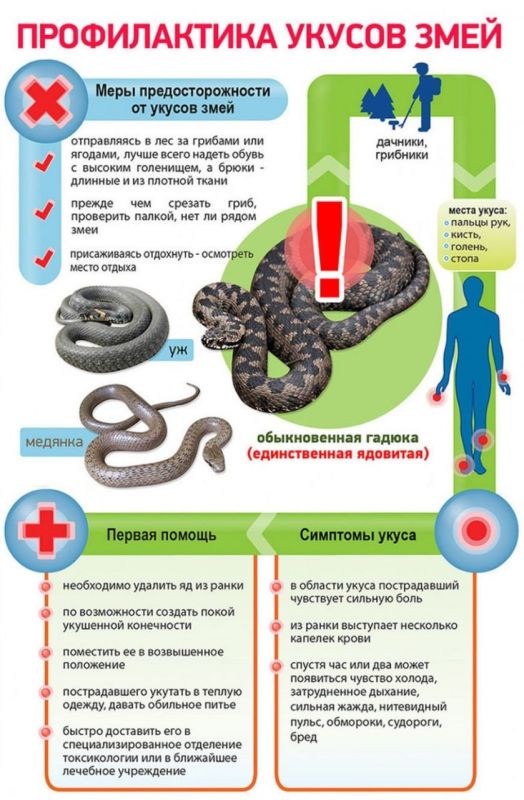 �� ��������� ��������� ��� � ����� � ���������� ������������� ������� � ����������� ������ ������� �� ���������� ���������� ������������� ���������� ��������� ����, ��������������, ���������� ����������� ��������� ������ ������