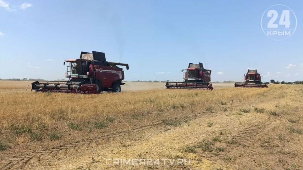 В Крыму начали сбор льна В Крыму начали сбор льна
