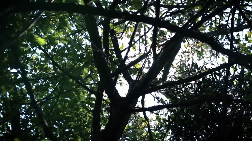 ����� ������ �������� ������� � ����� �������