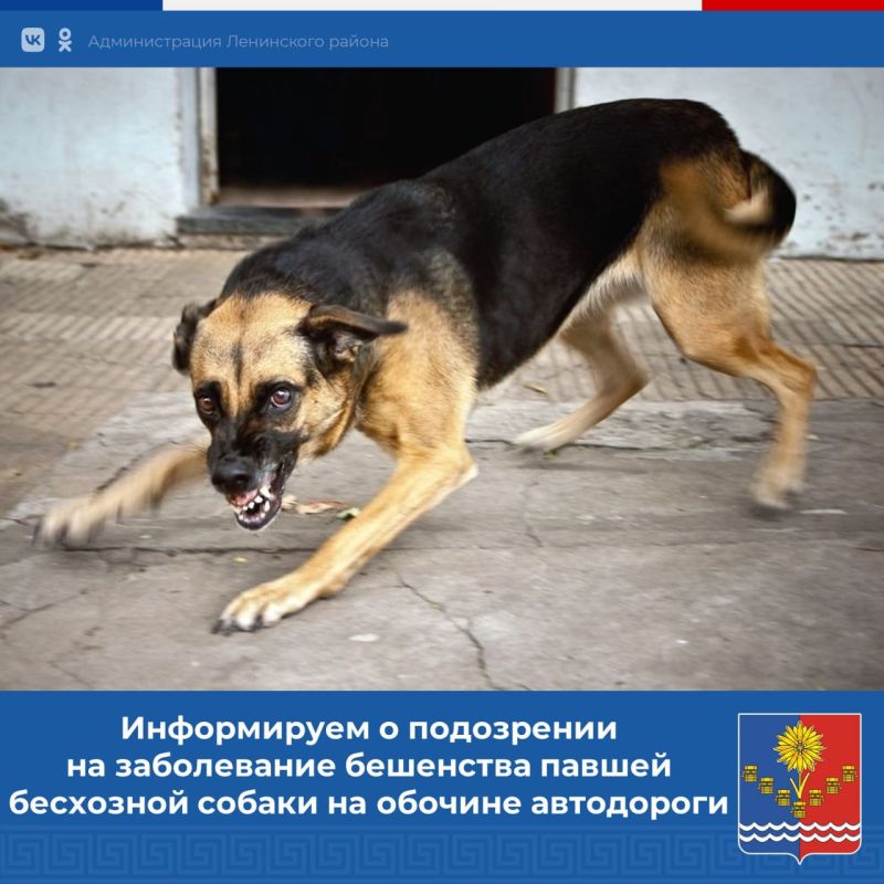 ��������������� ��������� ���������� ���������� ���� ���������� �������� ������������ �������-���������������� �����...