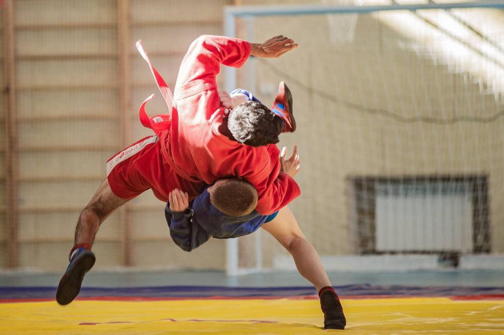 ������ ���������: ������� � ���� ��������������