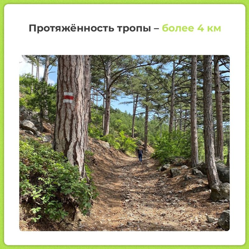 Если решили сходить в горы, выбирайте новый туристический маршрут «Тропа Палласа» Если решили сходить в горы, выбирайте новый туристический маршрут «Тропа Палласа»