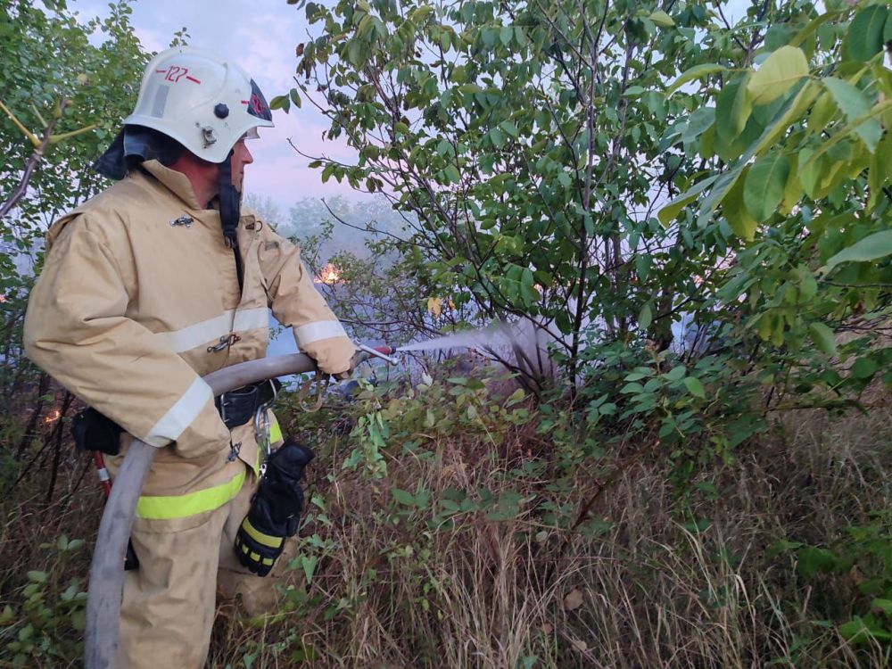 6 раз за минувшие сутки крымские огнеборцы тушили сухую растительность