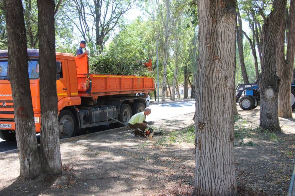 #зеленые_насаждения. Ежедневно в городе производятся работы по уходу за зелеными насаждениями #зеленые_насаждения. Ежедневно в городе производятся работы по уходу за зелеными насаждениями