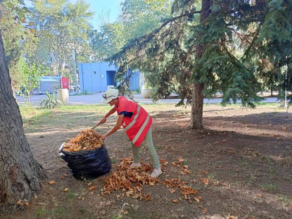 #уборка_городских_территорий #уборка_городских_территорий