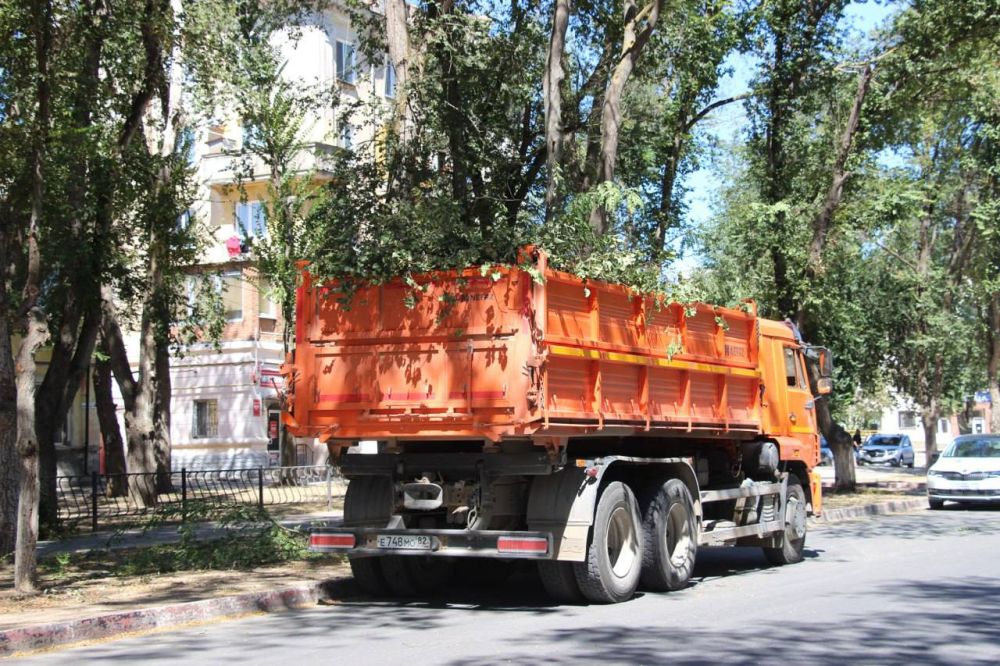 #зеленые_насаждения. Ежедневно в городе производятся работы по уходу за зелеными насаждениями #зеленые_насаждения. Ежедневно в городе производятся работы по уходу за зелеными насаждениями
