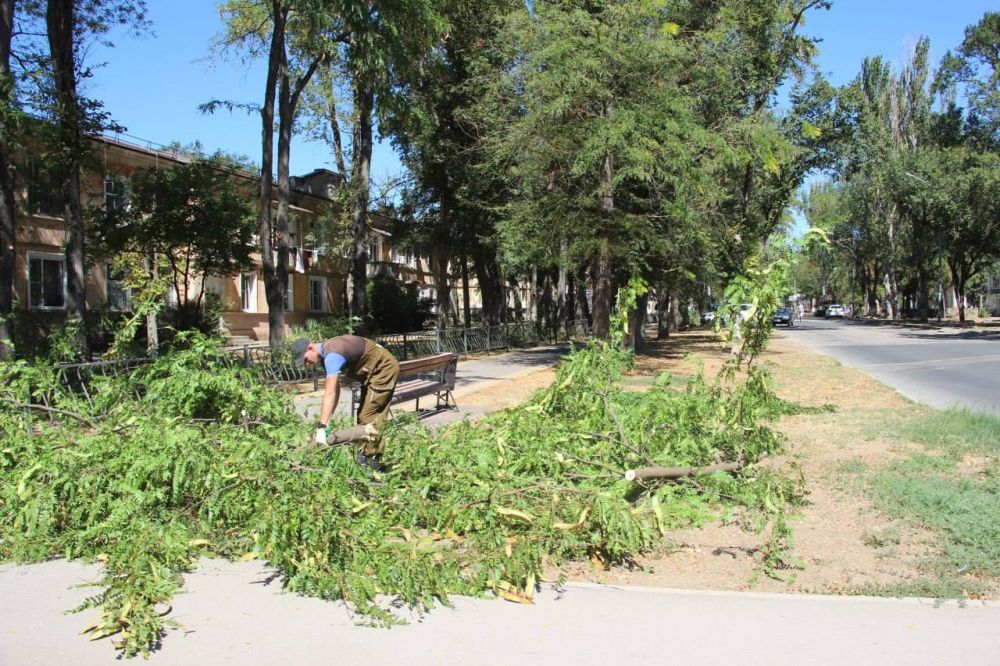 #зеленые_насаждения. Ежедневно в городе производятся работы по уходу за зелеными насаждениями #зеленые_насаждения. Ежедневно в городе производятся работы по уходу за зелеными насаждениями