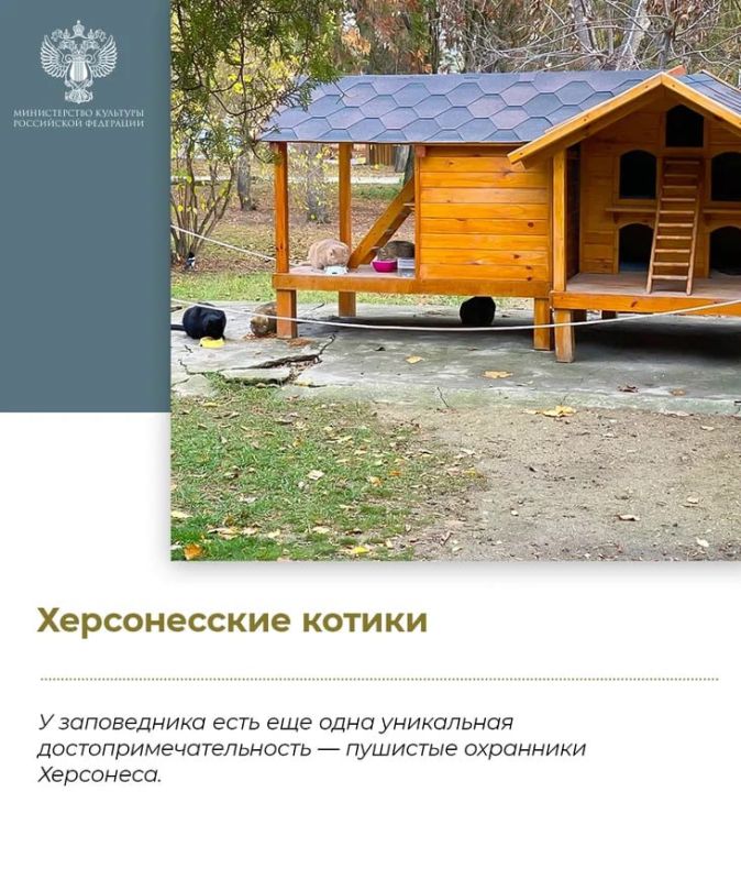 Рубрика #КультурныеМаршруты пополнилась новым направлением — музеем-заповедником «Херсонес Таврический» Рубрика #КультурныеМаршруты пополнилась новым направлением — музеем-заповедником «Херсонес Таврический»