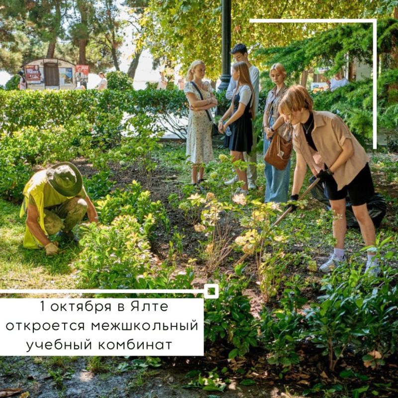 ����� ��������: ������� �������� ������. ���������� �������, ������