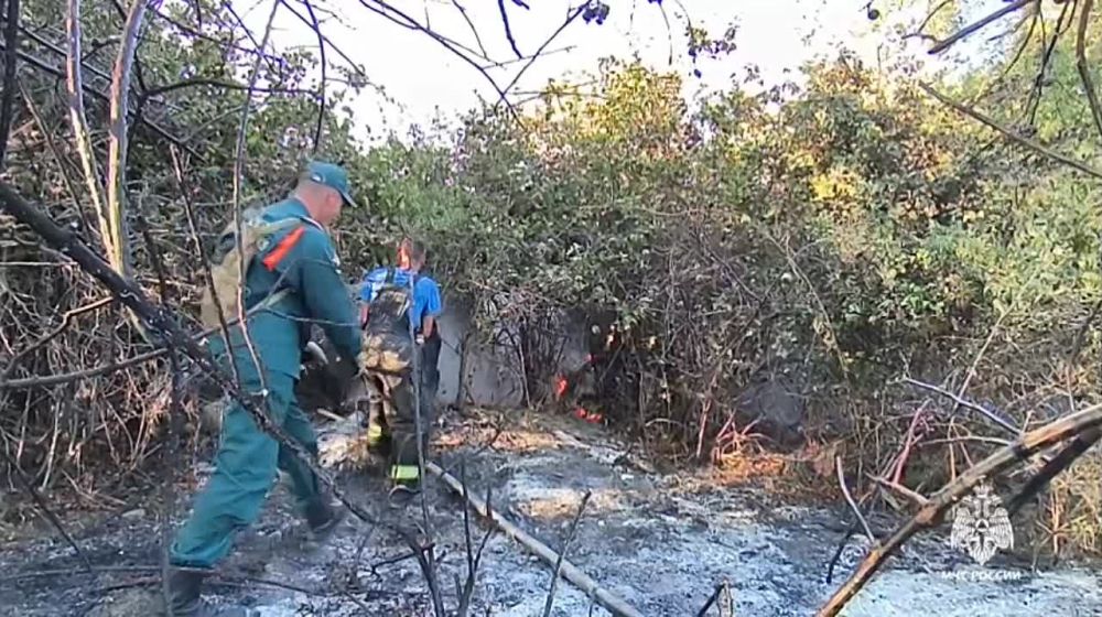 В Кировском районе произошел пожар рядом с сафари парком