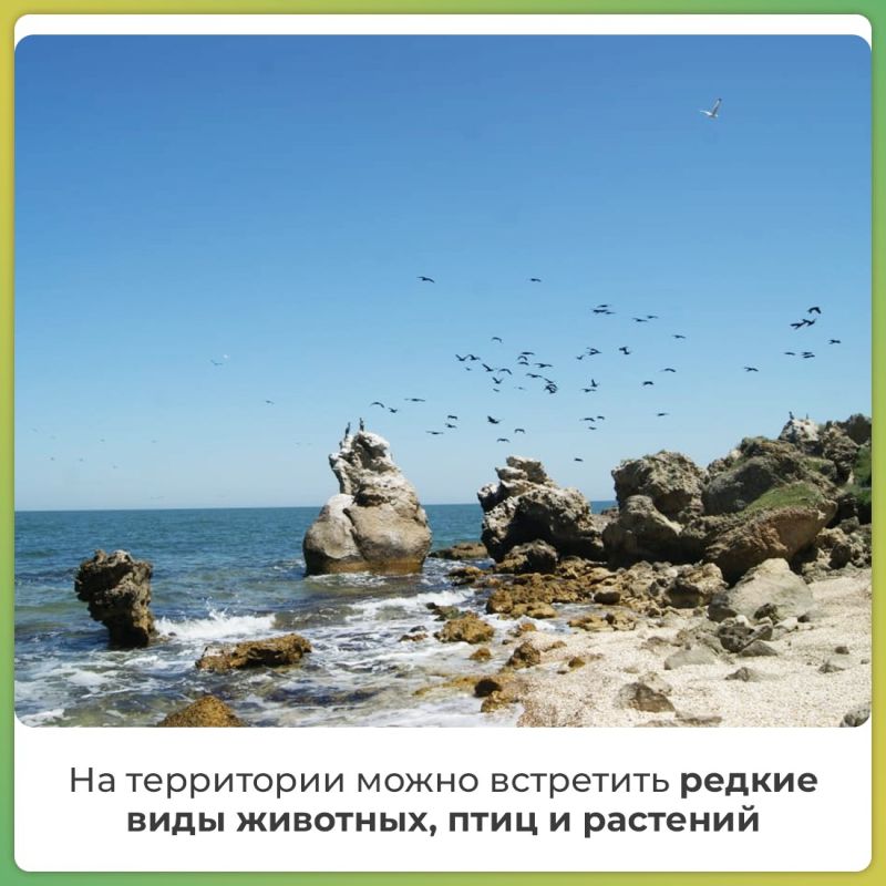 В Караларском природном парке появились новые локации для отдыха В Караларском природном парке появились новые локации для отдыха