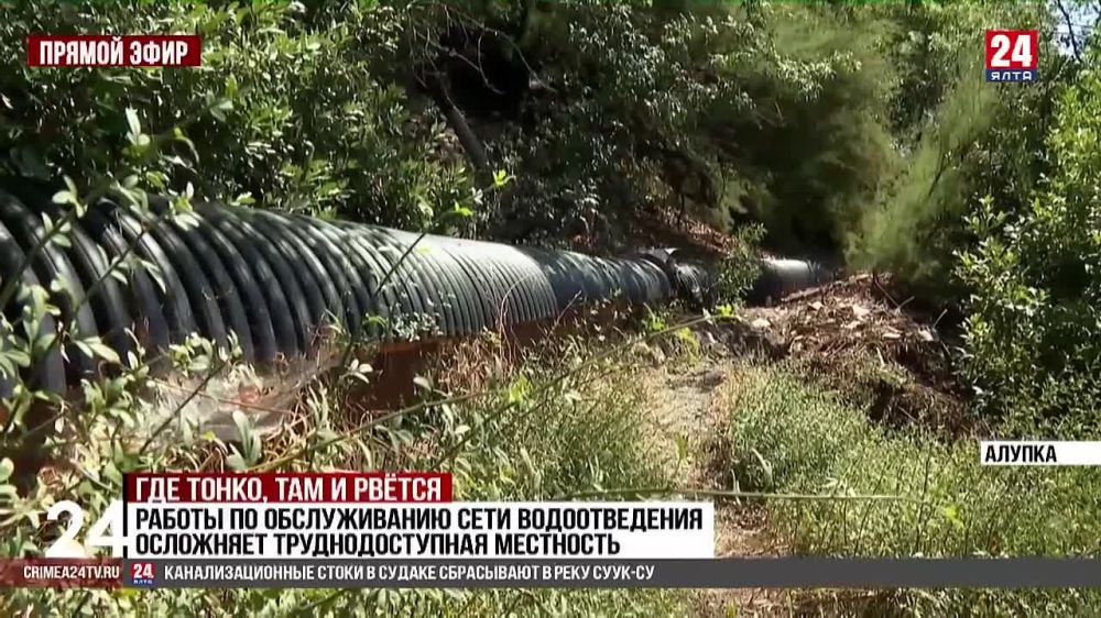 ��� �����, ��� � �����: � ������ ������������� ������ �� ����� �������������