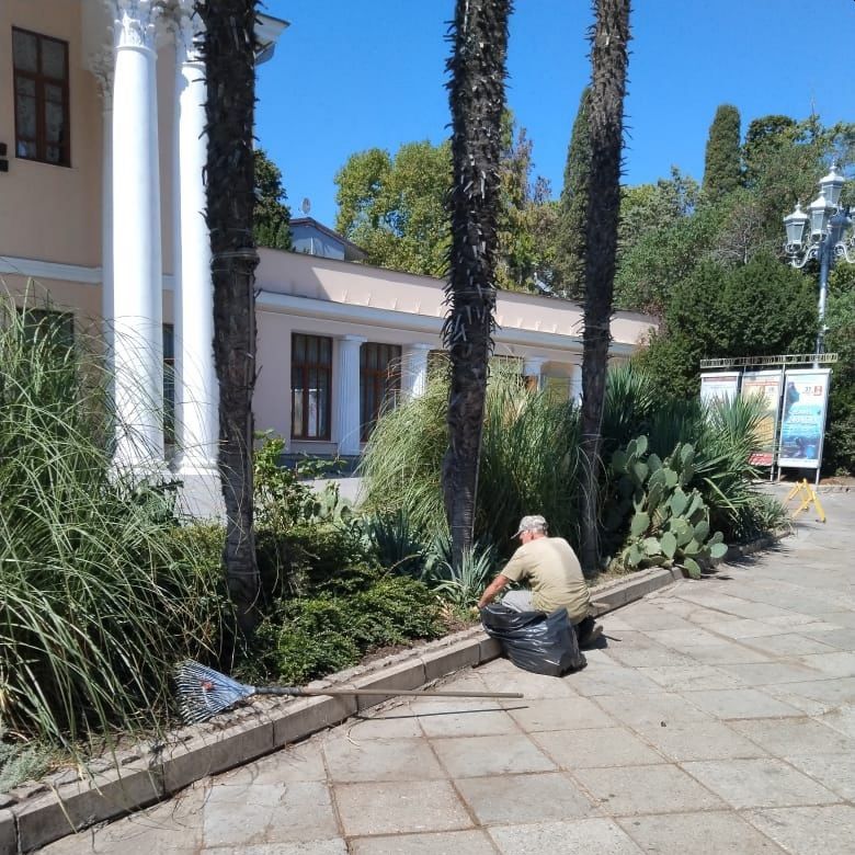 Продолжаем марафон чистоты в городских парках и скверах Продолжаем марафон чистоты в городских парках и скверах