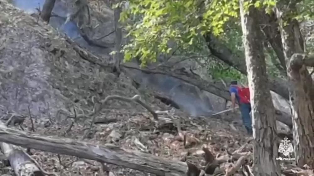 К ликвидации лесных пожаров в Крыму привлекли вертолет – МЧС