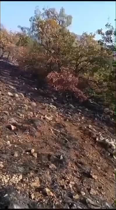 В Кировском районе на горе Агармыш горит лесная подстилка