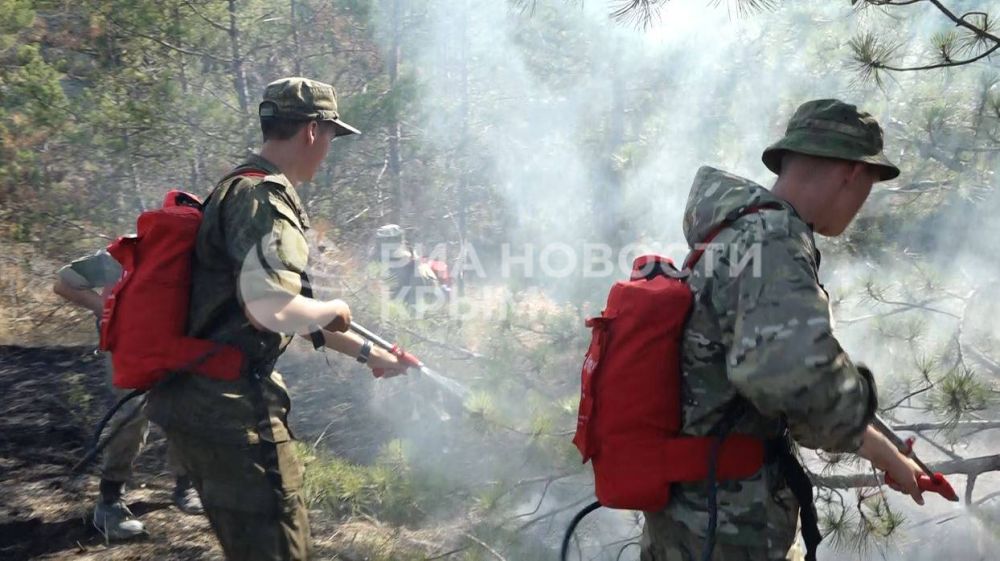 Сотрудники МЧС продолжают ликвидацию возгорания в районе Тепе-Оба: что известно? Сотрудники МЧС продолжают ликвидацию возгорания в районе Тепе-Оба: что известно?