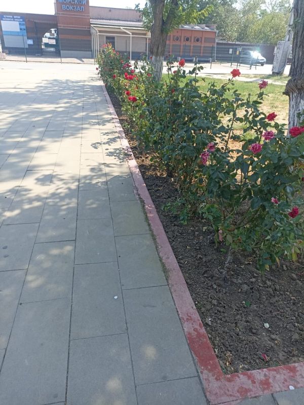 #зеленхоз. Профильные специалисты Службы городского хозяйства трудятся над зелёной архитектурой города, облагораживают и заботятся о ней #зеленхоз. Профильные специалисты Службы городского хозяйства трудятся над зелёной архитектурой города, облагораживают и заботятся о ней