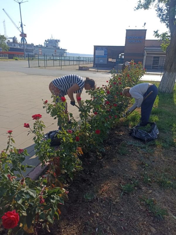 #зеленхоз. Профильные специалисты Службы городского хозяйства трудятся над зелёной архитектурой города, облагораживают и заботятся о ней #зеленхоз. Профильные специалисты Службы городского хозяйства трудятся над зелёной архитектурой города, облагораживают и заботятся о ней