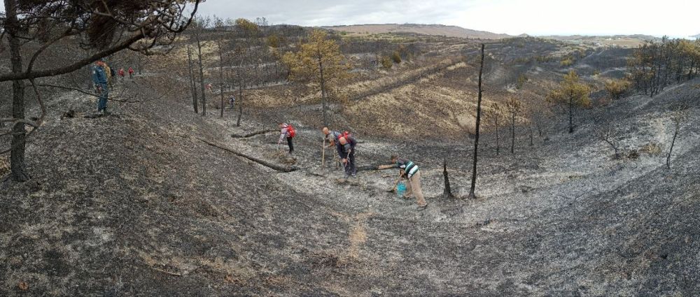 Игорь Ткаченко: На тушение случившегося в воскресенье пожара в районе хребта Тепе-Оба были привлечены силы МЧС, спецтехника, вертолеты, помогали волонтеры Игорь Ткаченко: На тушение случившегося в воскресенье пожара в районе хребта Тепе-Оба были привлечены силы МЧС, спецтехника, вертолеты, помогали волонтеры