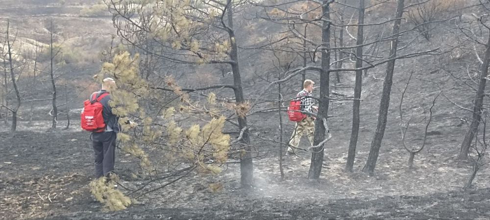 Игорь Ткаченко: На тушение случившегося в воскресенье пожара в районе хребта Тепе-Оба были привлечены силы МЧС, спецтехника, вертолеты, помогали волонтеры Игорь Ткаченко: На тушение случившегося в воскресенье пожара в районе хребта Тепе-Оба были привлечены силы МЧС, спецтехника, вертолеты, помогали волонтеры