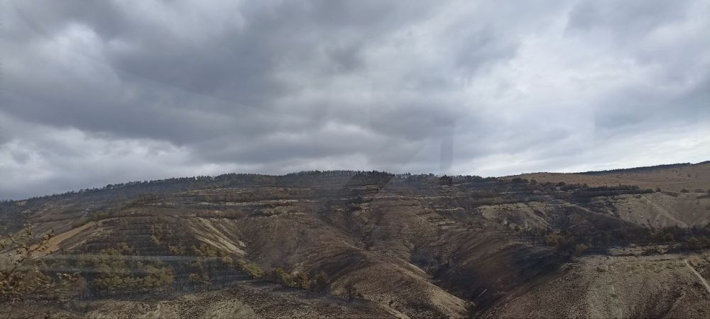 Продолжается работа по ликвидации лесного пожара в районе горного хребта Тепе-Оба Продолжается работа по ликвидации лесного пожара в районе горного хребта Тепе-Оба