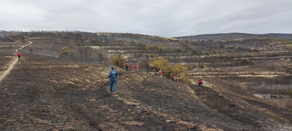 Игорь Ткаченко: На тушение случившегося в воскресенье пожара в районе хребта Тепе-Оба были привлечены силы МЧС, спецтехника, вертолеты, помогали волонтеры Игорь Ткаченко: На тушение случившегося в воскресенье пожара в районе хребта Тепе-Оба были привлечены силы МЧС, спецтехника, вертолеты, помогали волонтеры