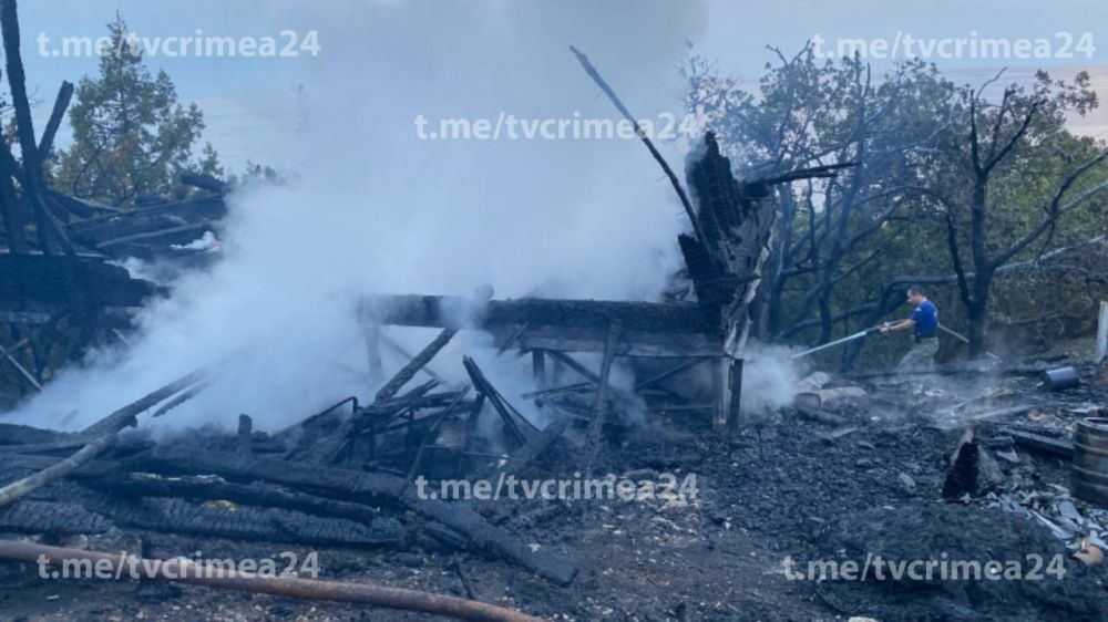 Кадры с места пожара в районе бухты Ласпи в Севастополе Кадры с места пожара в районе бухты Ласпи в Севастополе