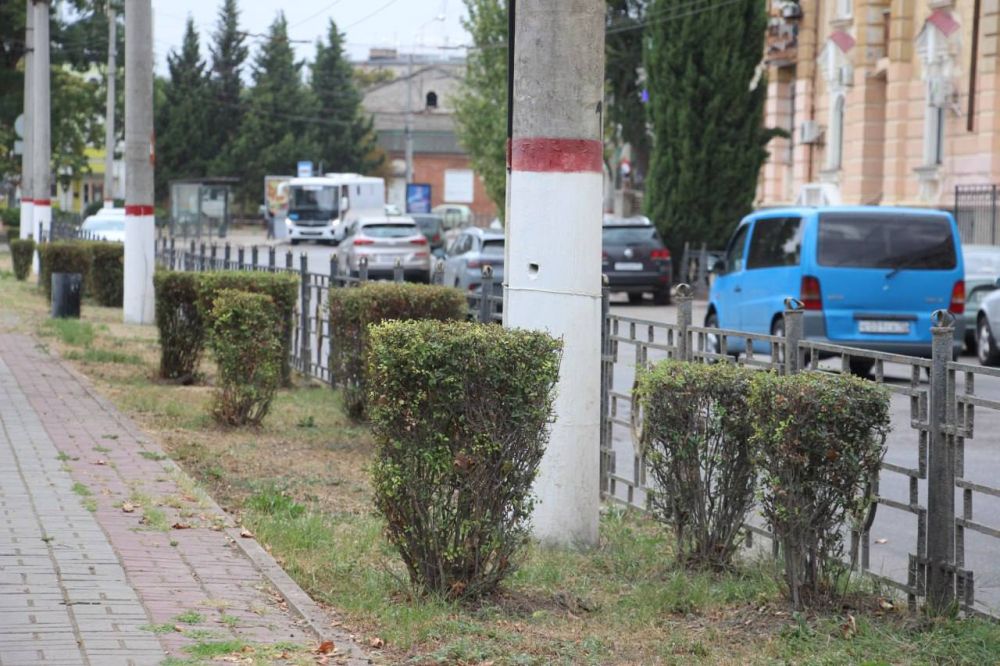 #зеленхоз. Формовка зелёных насаждений - это неглубокая обрезка ветвей деревьев/кустов, которая нужна, чтобы подчеркнуть естественную форму кроны растения или придать ей геометрическую форму #зеленхоз. Формовка зелёных насаждений - это неглубокая обрезка ветвей деревьев/кустов, которая нужна, чтобы подчеркнуть естественную форму кроны растения или придать ей геометрическую форму