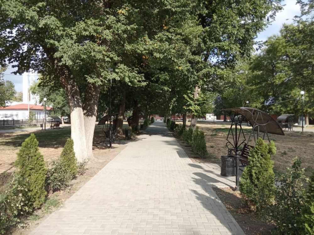 Светлана Маслова: После последнего посещения города Белогорска его санитарное состояние изменилось в лучшую сторону Светлана Маслова: После последнего посещения города Белогорска его санитарное состояние изменилось в лучшую сторону