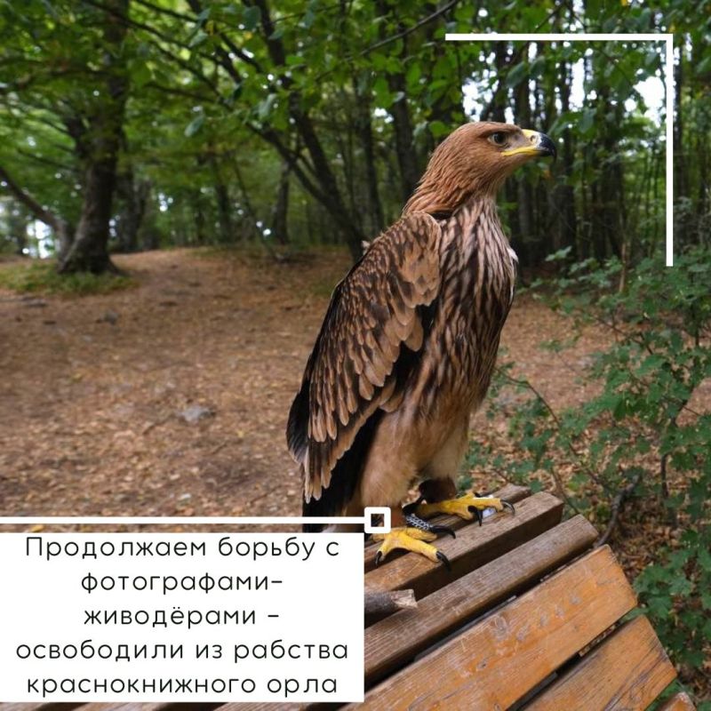 Янина Павленко: События уходящей недели. Вспоминаем главное, друзья Янина Павленко: События уходящей недели. Вспоминаем главное, друзья