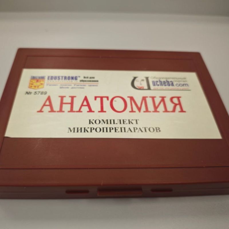 Ещё один подарок ялтинским школьникам к Дню знаний – новая «Точка роста» Ещё один подарок ялтинским школьникам к Дню знаний – новая «Точка роста»