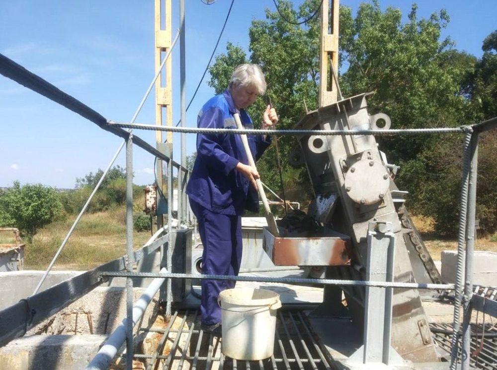 Профессионалы Севастополя Профессионалы Севастополя