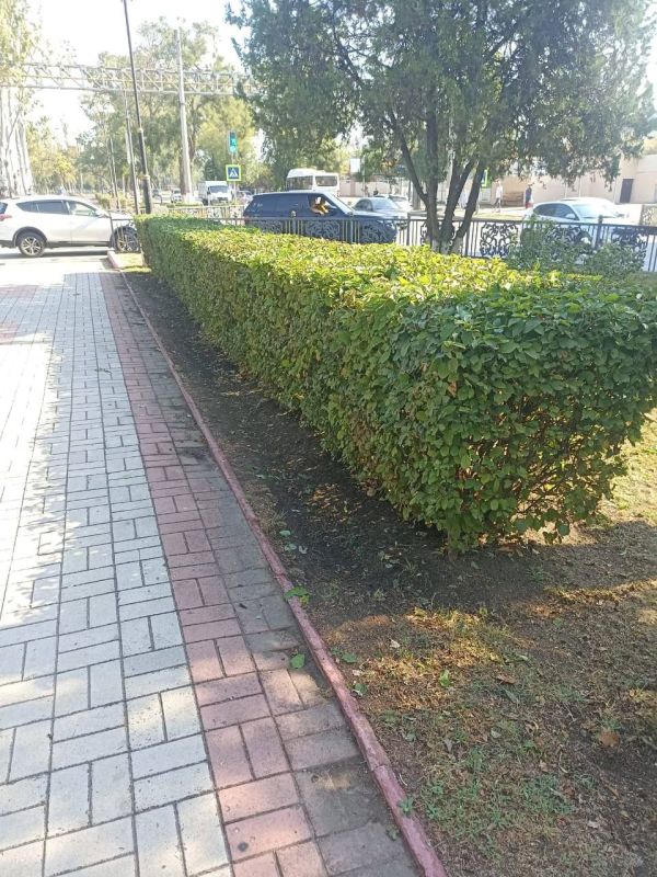 #зеленхоз. Как началась осень у работников зеленхоза #зеленхоз. Как началась осень у работников зеленхоза