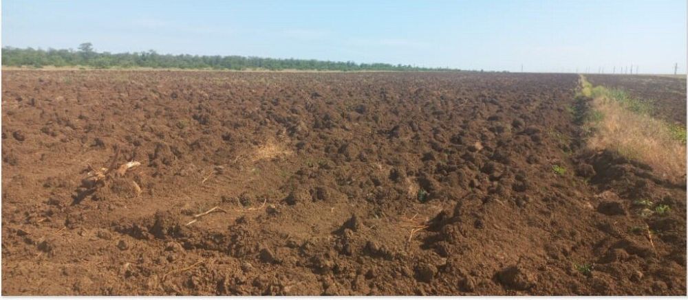 Минприроды Крыма держит на постоянном контроле выполнение мероприятий по компенсационному лесовосстановлению и лесоразведению Минприроды Крыма держит на постоянном контроле выполнение мероприятий по компенсационному лесовосстановлению и лесоразведению