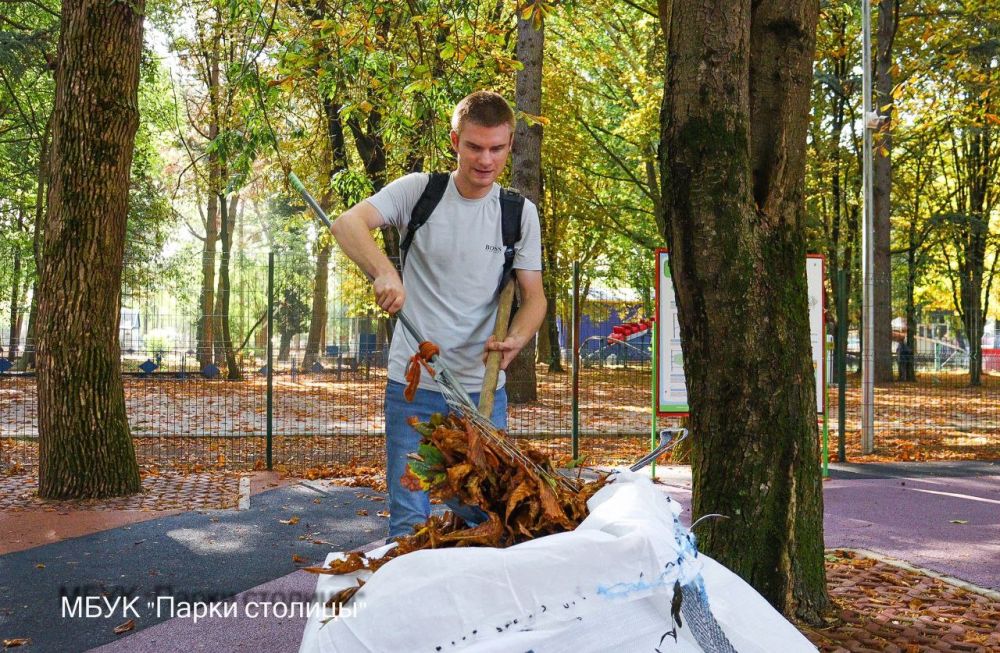 С приходом осени в парках и скверах Симферополя началась активная уборка палой листвы С приходом осени в парках и скверах Симферополя началась активная уборка палой листвы