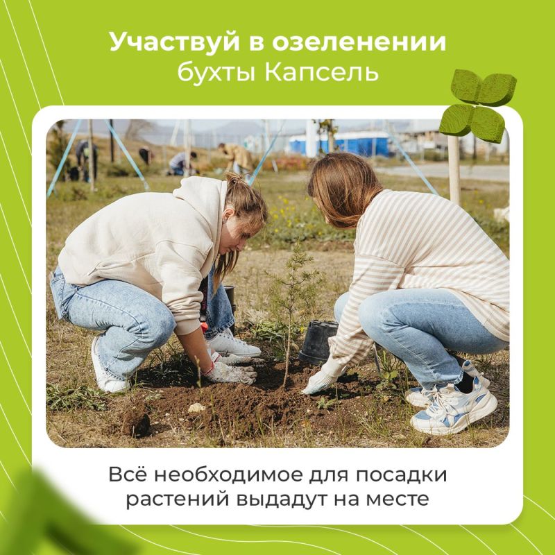 Бухта Капсель место с уникальным природным ландшафтом Бухта Капсель место с уникальным природным ландшафтом