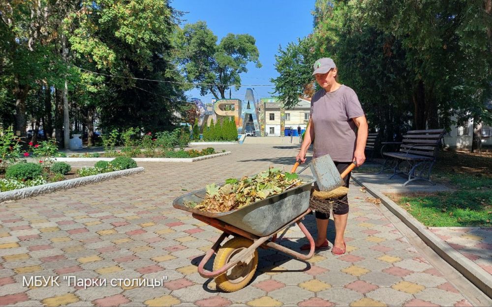 С приходом осени в парках и скверах Симферополя началась активная уборка палой листвы С приходом осени в парках и скверах Симферополя началась активная уборка палой листвы
