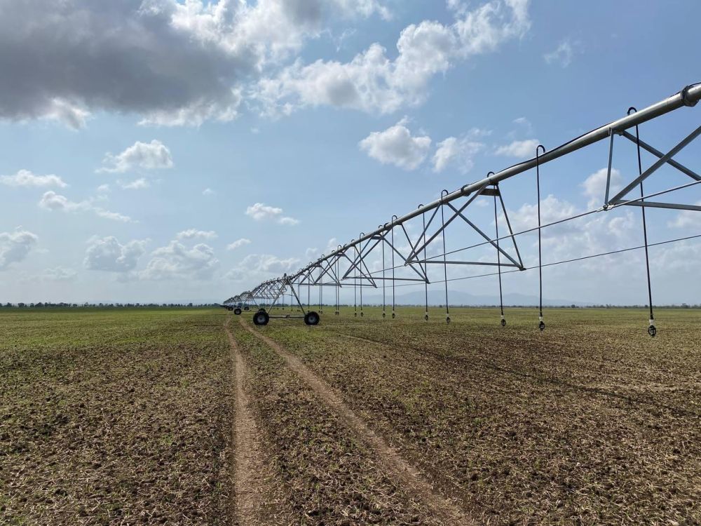 Орошение земель в Республике Крым является важным мероприятием для получения гарантированного и высокого урожая сельскохозяйственных культур