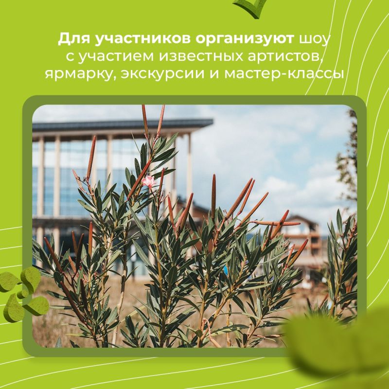 Бухта Капсель место с уникальным природным ландшафтом Бухта Капсель место с уникальным природным ландшафтом