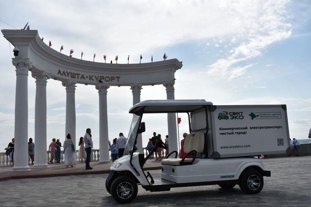 Галина Огнёва: Электромобиль в подарок для города! Галина Огнёва: Электромобиль в подарок для города!